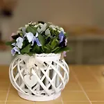 Ensemble - Casa Con Giardino
